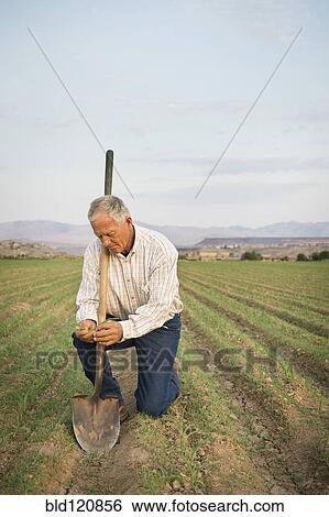 Stock Photograph - Caucasian farmer planting seeds in crop field. Fotosearch