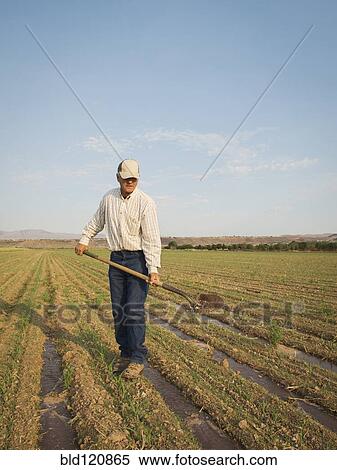 Stock Photography - Caucasian farmer planting seeds in crop field. Fotosearch