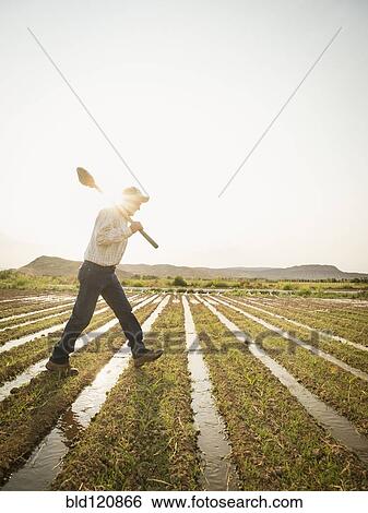 Stock Photograph - Caucasian farmer walking in crop field. Fotosearch