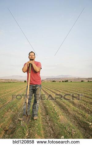 Caucasian farmer with shovel in crop field View Large Photo Image Stock Photo - Caucasian farmer with shovel in crop field. Fotosearch