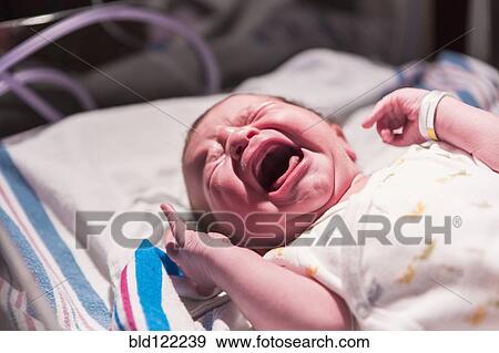 Caucasian newborn baby crying in hospital crib View Large Photo Image Stock Photo - Caucasian newborn baby crying in hospital crib. Fotosearch