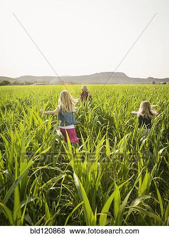 Stock Photo - Children playing in corn field. Fotosearch