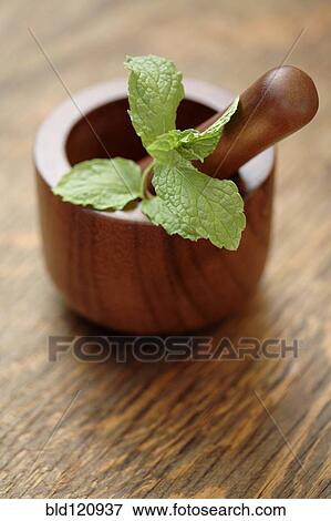 Close up of herbs in wooden mortar and pestle View Large Photo Image Stock Photo - Close up of herbs in wooden mortar and pestle. Fotosearch