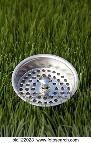 Close up of sink strainer in grass View Large Photo Image Stock Image - Close up of sink strainer in grass. Fotosearch