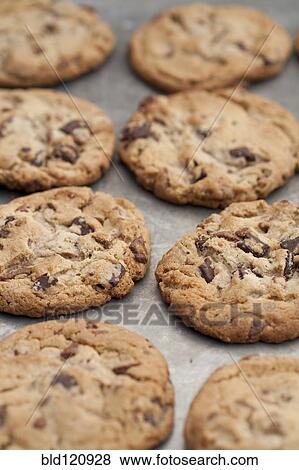 Close up of tray of chocolate chip cookies View Large Photo Image Stock Photo - Close up of tray of chocolate chip cookies. Fotosearch