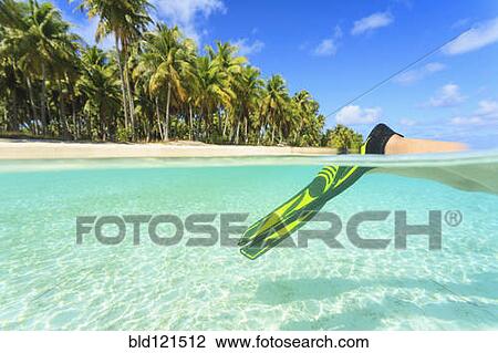 Stock Image - Diver's fins in tropical water, Bora Bora, French Polynesia. Fotosearch