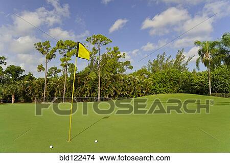 Golf balls by hole on putting green View Large Photo Image Picture - Golf balls by hole on putting green. Fotosearch