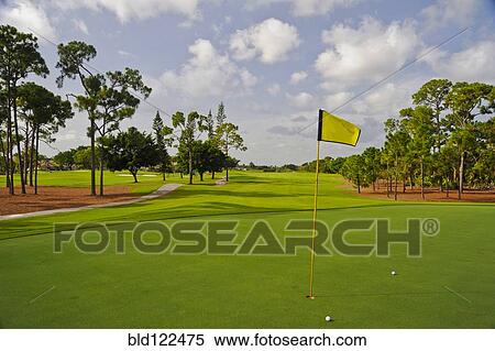 Golf balls by hole on putting green View Large Photo Image Stock Photography - Golf balls by hole on putting green. Fotosearch