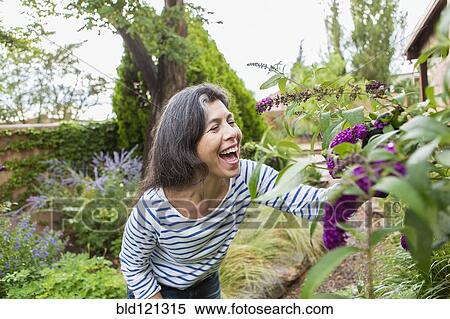 Hispanic woman looking at flowers in garden View Large Photo Image Stock Photography - Hispanic woman looking at flowers in garden. Fotosearch
