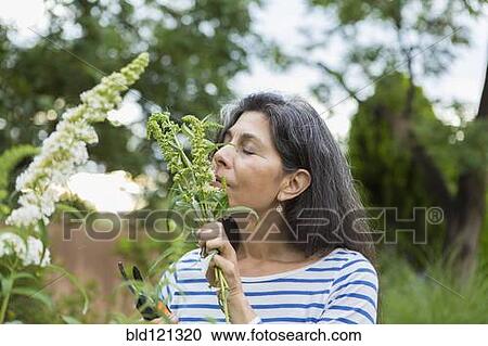 Stock Image - Hispanic woman smelling flowers in garden. Fotosearch