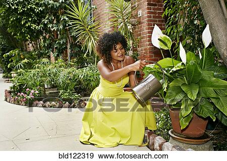 Stock Photo - Mixed race woman watering plants in courtyard. Fotosearch