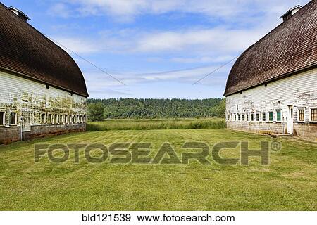 Stock Photo - Old barns on farm, Olympia, Washington, United States. Fotosearch