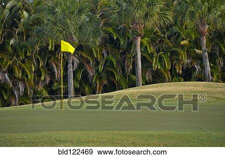 Palm trees growing by golf course View Large Photo Image Stock Photo - Palm trees growing by golf course. Fotosearch