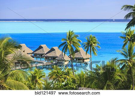 Stock Photo - Palm trees overlooking tropical resort, Bora Bora, French Polynesia. Fotosearch