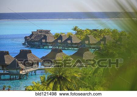 Palm trees overlooking tropical resort, Bora Bora, French Polynesia View Large Photo Image Stock Photo - Palm trees overlooking tropical resort, Bora Bora, French Polynesia. Fotosearch