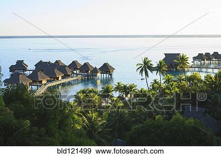 Palm trees overlooking tropical resort, Bora Bora, French Polynesia View Large Photo Image Stock Photo - Palm trees overlooking tropical resort, Bora Bora, French Polynesia. Fotosearch