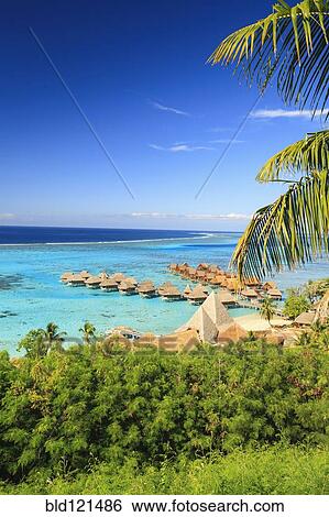 Palm trees overlooking tropical resort, Bora Bora, French Polynesia View Large Photo Image Stock Photograph - Palm trees overlooking tropical resort, Bora Bora, French Polynesia. Fotosearch