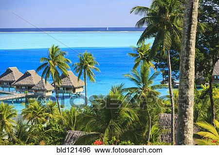 Stock Photograph - Palm trees overlooking tropical resort, Bora Bora, French Polynesia. Fotosearch