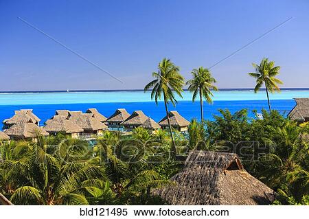 Palm trees overlooking tropical resort, Bora Bora, French Polynesia View Large Photo Image Stock Photography - Palm trees overlooking tropical resort, Bora Bora, French Polynesia. Fotosearch