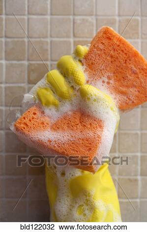 Rubber glove holding sudsy sponge in bathroom View Large Photo Image Stock Image - Rubber glove holding sudsy sponge in bathroom. Fotosearch