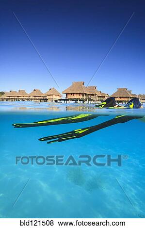 Stock Photo - Snorkeler's flippers in tropical water, Bora Bora, French Polynesia. Fotosearch