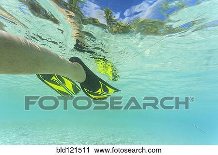 Stock Image - Snorkeling flippers in tropical water. Fotosearch