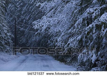 Stock Photo - Snowy road, Port Angeles, Washington, United States. Fotosearch