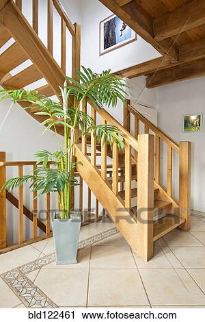 Wooden staircase and potted plant in modern home View Large Photo Image Stock Image - Wooden staircase and potted plant in modern home. Fotosearch