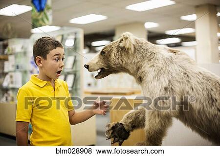 Stock Photo - Caucasian boy surprised by stuffed bear in museum. Fotosearch