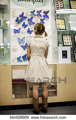 Caucasian girl examining butterfly specimens in museum View Large Photo Image Stock Photo - Caucasian girl examining butterfly specimens in museum. Fotosearch