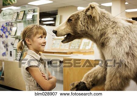 Stock Photo - Caucasian girl examining stuffed bear in museum. Fotosearch