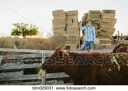 Caucasian man working on farm View Large Photo Image Stock Image - Caucasian man working on farm. Fotosearch