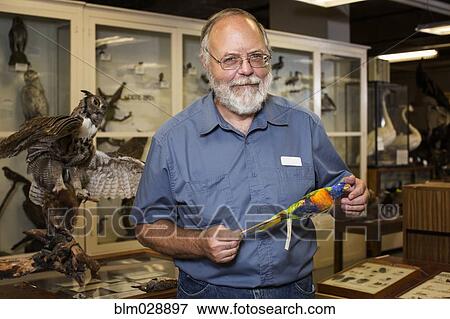 Caucasian man working with specimens in natural history museum View Large Photo Image Stock Photo - Caucasian man working with specimens in natural history museum. Fotosearch