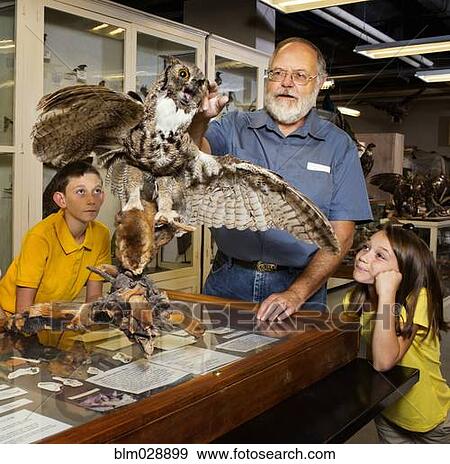 Stock Photo - Caucasian man working with specimens in natural history museum. Fotosearch