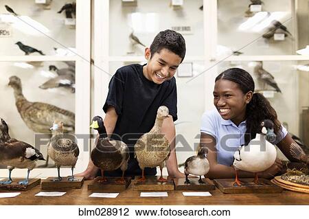 Stock Image - Children examining stuffed ducks in museum. Fotosearch