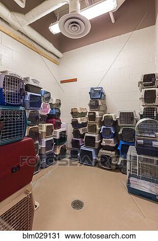 Stock Image - Empty pet crates stacked in room in animal shelter. Fotosearch
