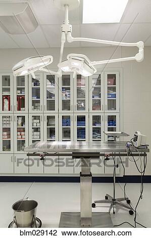 Examining table in empty animal hospital View Large Photo Image Stock Image - Examining table in empty animal hospital. Fotosearch