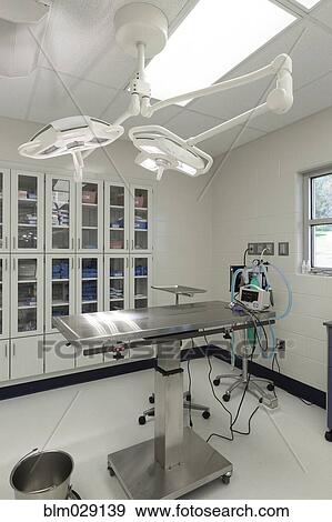 Examining table in empty animal hospital View Large Photo Image Stock Photo - Examining table in empty animal hospital. Fotosearch
