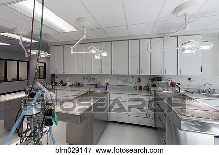 Examining tables in empty animal hospital View Large Photo Image Stock Photo - Examining tables in empty animal hospital. Fotosearch