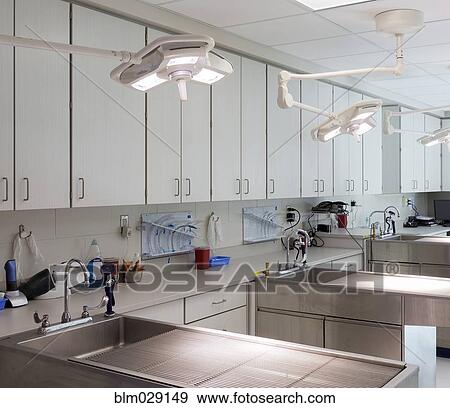 Examining tables in empty animal hospital View Large Photo Image Stock Photo - Examining tables in empty animal hospital. Fotosearch