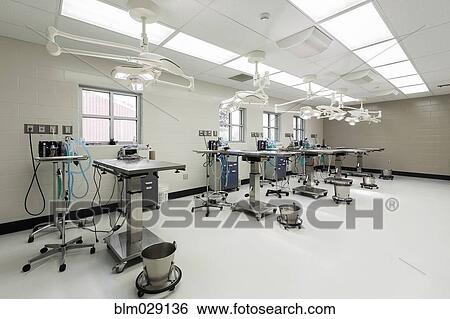 Examining tables in empty animal hospital View Large Photo Image Stock Photograph - Examining tables in empty animal hospital. Fotosearch