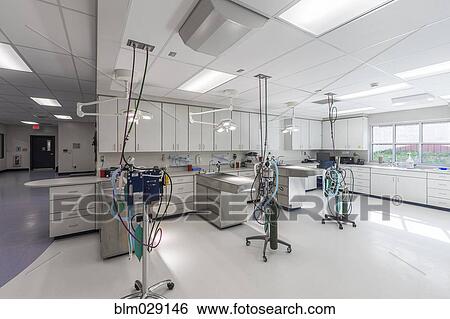 Examining tables in empty animal hospital View Large Photo Image Stock Photograph - Examining tables in empty animal hospital. Fotosearch