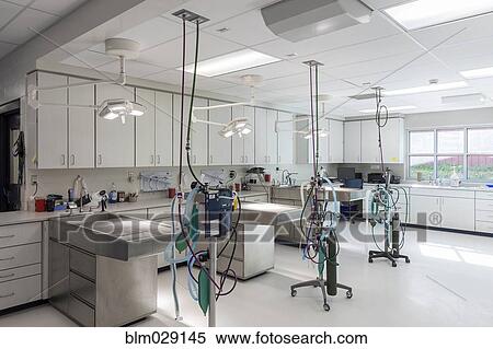 Stock Photography - Examining tables in empty animal hospital. Fotosearch