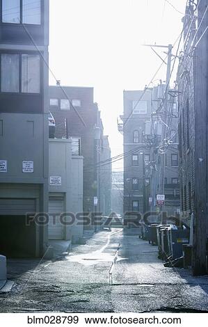 Stock Photo - Garbage cans in urban alleyway, Chicago, Illinois, United States. Fotosearch
