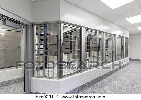 Stock Image - Glass viewing area windows of empty animal shelter. Fotosearch