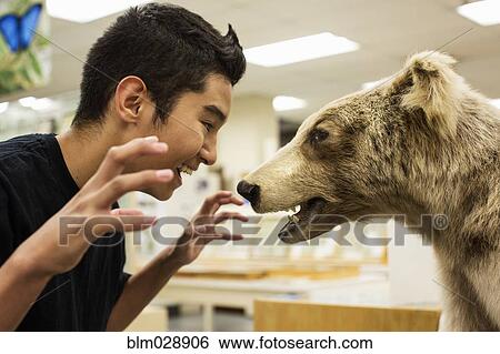 Hispanic boy growling at stuffed bear in museum View Large Photo Image Stock Photograph - Hispanic boy growling at stuffed bear in museum. Fotosearch