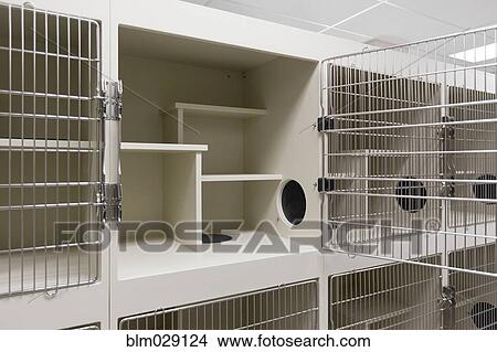 Picture - Metal doors of empty cages in animal shelter. Fotosearch
