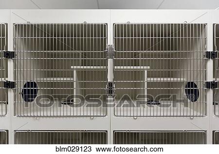 Stock Image - Metal doors of empty cages in animal shelter. Fotosearch