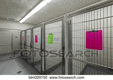 Metal doors of empty cages in animal shelter View Large Photo Image Stock Image - Metal doors of empty cages in animal shelter. Fotosearch