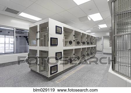 Stock Photo - Metal doors of empty cages in animal shelter. Fotosearch